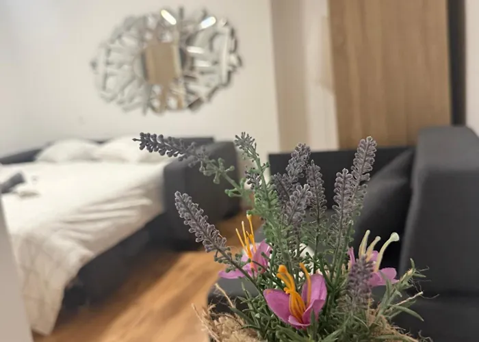 Apartma Lavanda 아파트